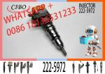 Fuel injector common rail parts injector 222-5972 198-4752 174-7526 232-1170 232