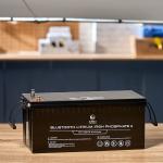 OEM ODM LiFePO4 lithium battery 12V 200Ah Lithium Battery Customized battery