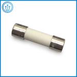 High Breaking Capacity 5x20mm Time Lag Cartridge Fuse Link 5242100203C 10A 250V