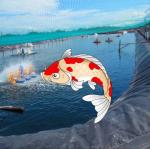 Waterproof Industrial Design Style LLDPE Geomembrane Liners for Aquaculture