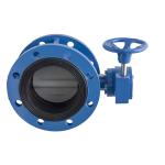 Ductile Iron Soft Sealing Double Flange Butterfly Valve Gearbox Operated