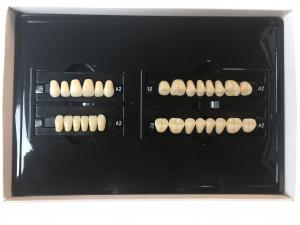 China Plastic Polymer Dental Acrylic Resin Teeth A1 A3 2 Layers Dental Composite Resin on sale
