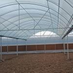 Hydroponic Growing System Green House Multi Span Agriculture Greenhouses Growing