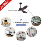 1stshine Ceiling Fan Energy Saving Noiseless and Customizable ABS Blades for Any