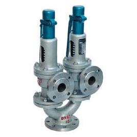 Wholesale Double spring type safety valve from china suppliers