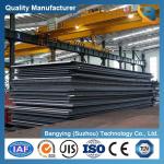 Customized 1095 and 15n20 Carbon Steel Plate with Oversea Jobs After-sales