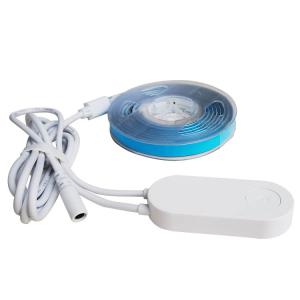 Wholesale DC 12V RGB LED Light Strip Indoor Outdoor LED Strip With Blutooth WiFi Controller from china suppliers