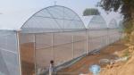 Super Strong Resistance Agriculture Multispan Greenhouse Frame for Growing