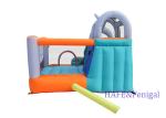 Animal Rhino Inflatable Water Slide Inflatable Bounce House Bouncing Castle For