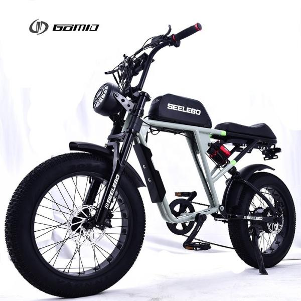 Hydraulic Disc Brake Electric Fat Tire Bike 500w 750w 1000w 20*4.0 Inch Moto
