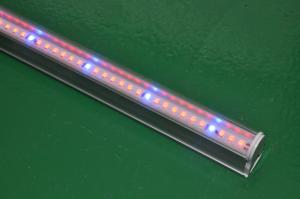 Wholesale T8 led tube grow lighting CE&amp;RoHS Certificate from china suppliers
