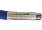 1/2" Welding DIN2999 Dnl200 Threaded Pipe Nipples