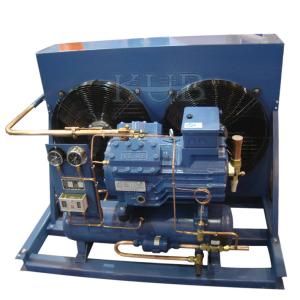 Wholesale V2084Y sturdy and compact design Italy frascold condensing unit for cold room from china suppliers
