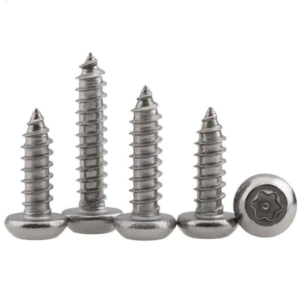 304 Stainless Steel Tamper Resistant Torx Rounded Head Self Tapping Screws for