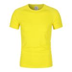 Custom Logo Hot Selling Gym T-Shirt Fitness 100% Polyester Running Quick Drying