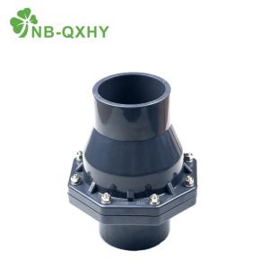 Wholesale PVC Non Return Check Valve for Chemical Industrial Series Pn16 DN15-200 DIN Standard from china suppliers