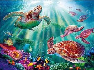 Wholesale Sealifes Dolphin Turtle Shark Lenticular 3D Motion Card Souvenir Gift Card from china suppliers