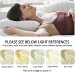 NTBAY 2 Pack Zippered Velvet King Pillowcases, Super Soft and Cozy Luxury Fuzzy
