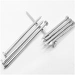 Roofing Hardware Accessories 10 Flat Head Carbon Steel Iron Nail with HDG