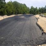2mm Thick Black HDPE Plastic Geomembrane for Fish Farming Dam Water Tank Pond
