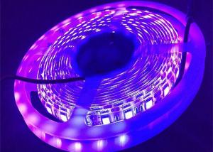 Wholesale Purple UV 12v 24v Purple Led Light Strip 395nm UV Led Tape 5050 Smd from china suppliers