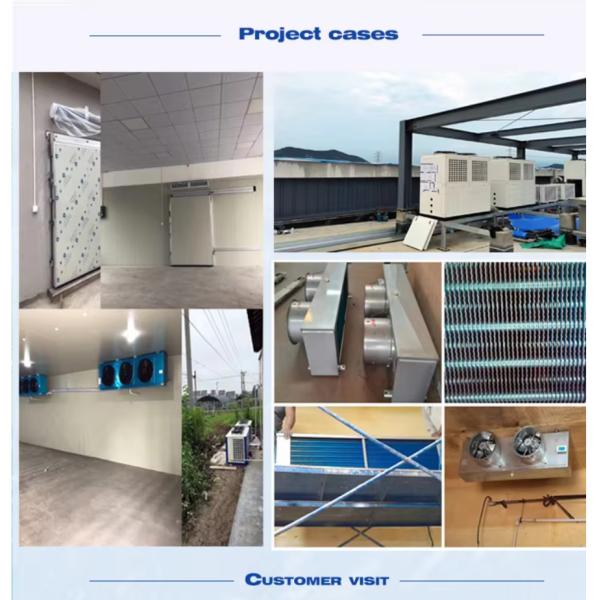R404A Cold Storage Plant 81m³ Temperature 0 To 12℃ For Vegetable