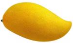 For beverage mango juice powder factory price/pure african mango powder sample