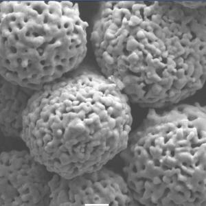 Wholesale Spherical Cr3C2 20NiCr Chromium Carbide Powder WOKA7102 Thermal Spraying Powder from china suppliers