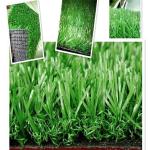 One Color Plastic Indoor Real Grass Floor