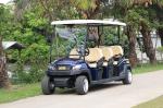 Best Electric Sightseeing Shuttle Bus 6 Passenger With CE Approved