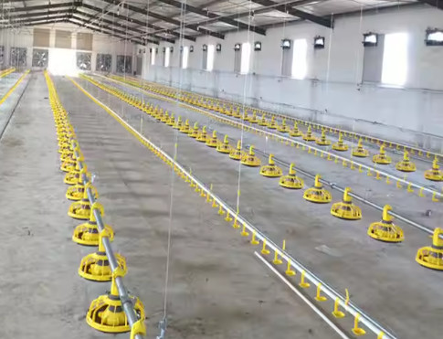 Hot Dip Galvanized Metal Steel Broiler Layer Poultry House With Automatic Brooding Equipment