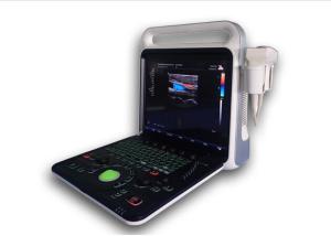 Wholesale Portable Doppler Ultrasound Machine Portable Ultrasound Scanner 3D 4D Probe Optional from china suppliers