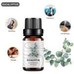 5ml Home Fragrance Essential Oils Plant Eucalyptus COA OEM For Medicine