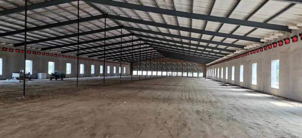Prefabricated Steel Structure Poultry House Q235B Q355B Steel Frame Chicken