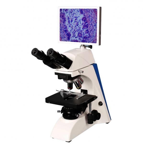 Quality LCD5000 Affordable 8 inch LCD tourching sreen digital camera microscopy/LCD microscope for hospital reserch labrotary for sale