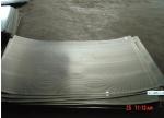 High Quality Stainless Steel Perforated Metal Sheet for Ceiling/Decoration
