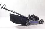 1200W Smart Garden Petrol Lawn Mower / 5.5HP Rear Roller Lawn Mowers For Large