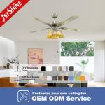 110V Metal Blade Ceiling Fan With Light 52 Inch And AC Motor