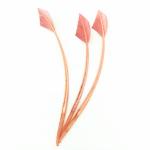 Millinery Supplies 10-12 inch 25-30 cm Turkey Feather for Arrow Head Party
