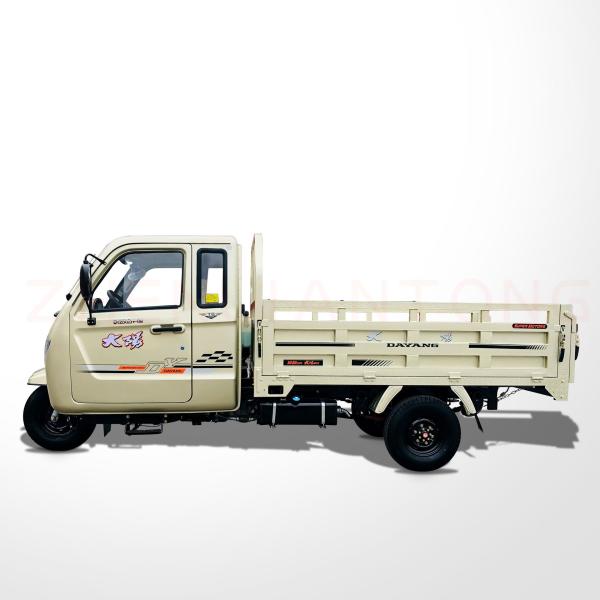 800cc Popular Model Three Wheel Cargo Tricycle Max Champagne Body for Well Sell