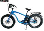 Fat Tire Electric Powered Bicycles Drum Brake 48V 10AH Battery TM-BGL-ATV02