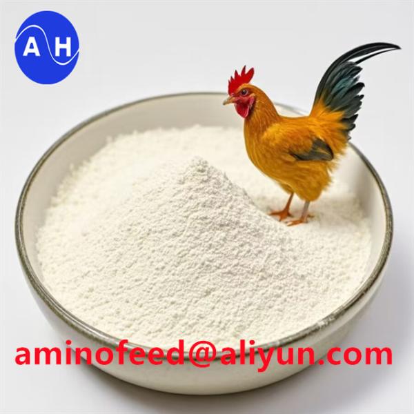 Amino Acid Chelate For Animal Feed Formulations In Thailand High Bioavailability