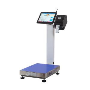 Wholesale 17 Inch Touchscreen Display 500kg Electronic Weighing Scale for Industrial Weighing from china suppliers