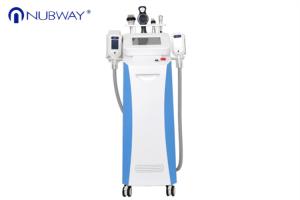 Wholesale Factory price cryolipolysis weight loss lipo cryotherapy cryolipolysis cellulite system from china suppliers