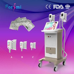 Wholesale Three handle sizes Cryolipolysis Freeze Fat Machine from china suppliers