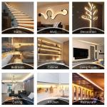 8mm10mm 60leds 6500K White Electroplate SMD2835 Led Strip Light for Indoor
