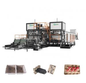 China 380V Tray Paper Pulp Making Machine With Metal Drying Line CE on sale