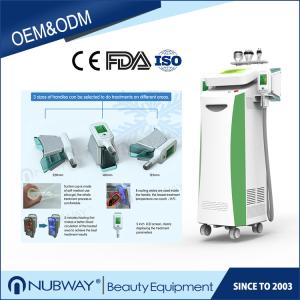 Wholesale CE approval popular good result Cryolipolysis Slimming machine from china suppliers