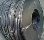 Cold Rolled 304 Stainless Steel Strip