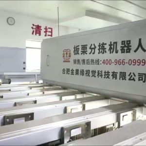 Wholesale High Accuracy 8 lanes+8 outlets Chestnut Sorting Machine: Precise Sorting, Zero Loss from china suppliers